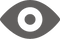 icon-vision
